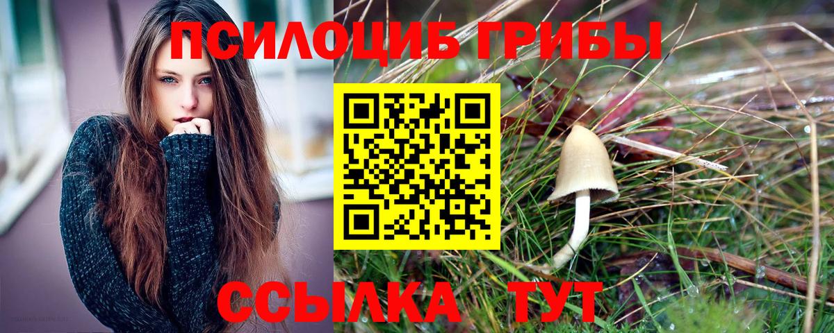 Псилоцибиновые грибы Psilocybe  Вход с VPN  Ухта  Псилоцибиновые грибы мухоморы 